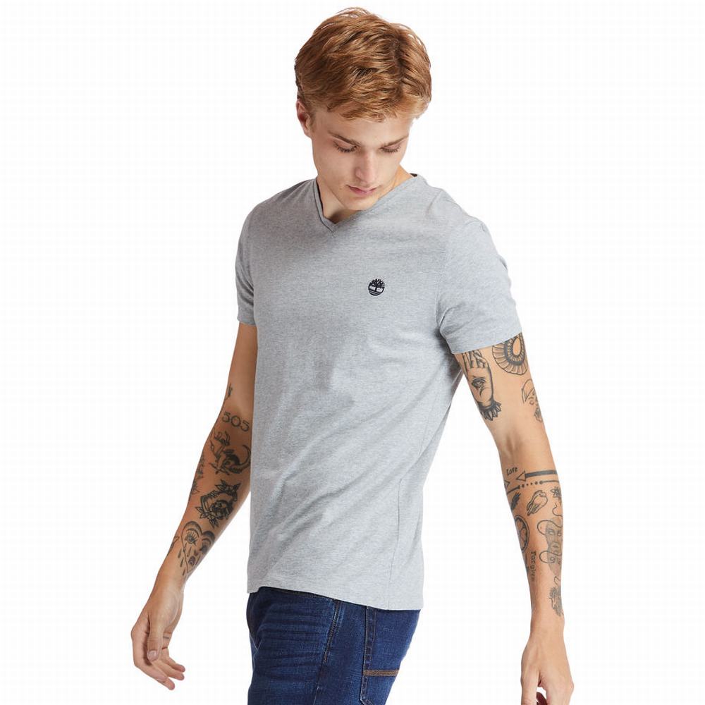 Timberland Dunstan River V-Neck Tişört Erkek Gri | TR-3492H
