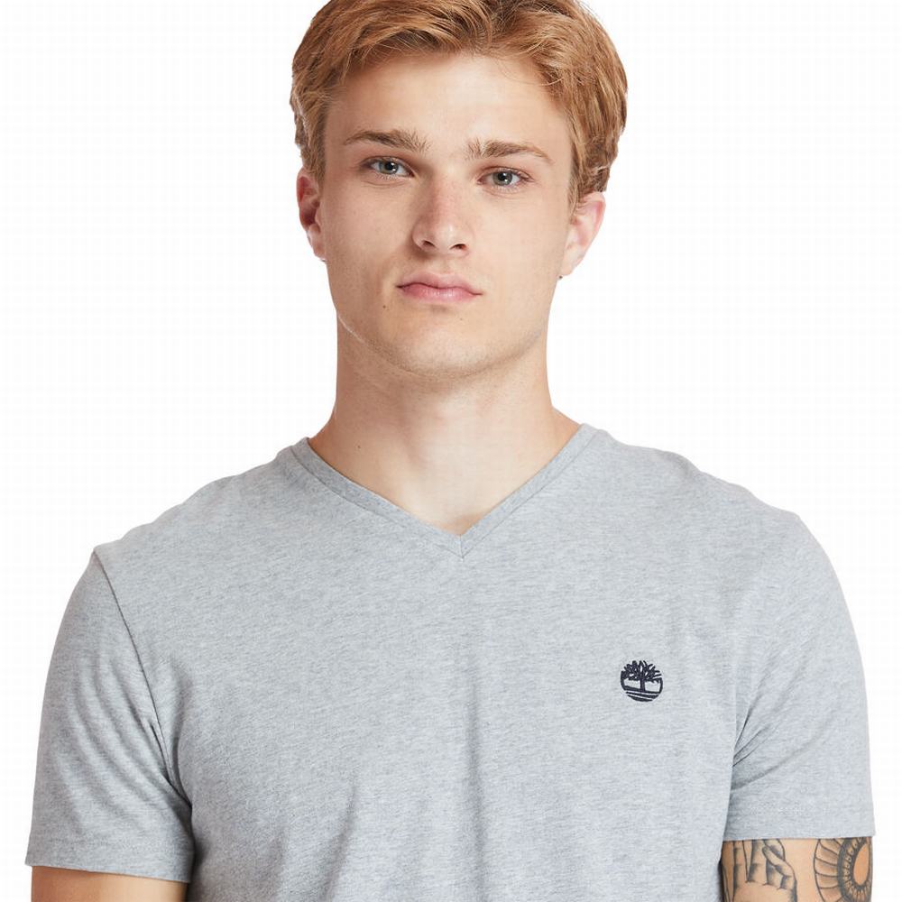 Timberland Dunstan River V-Neck Tişört Erkek Gri | TR-3492H