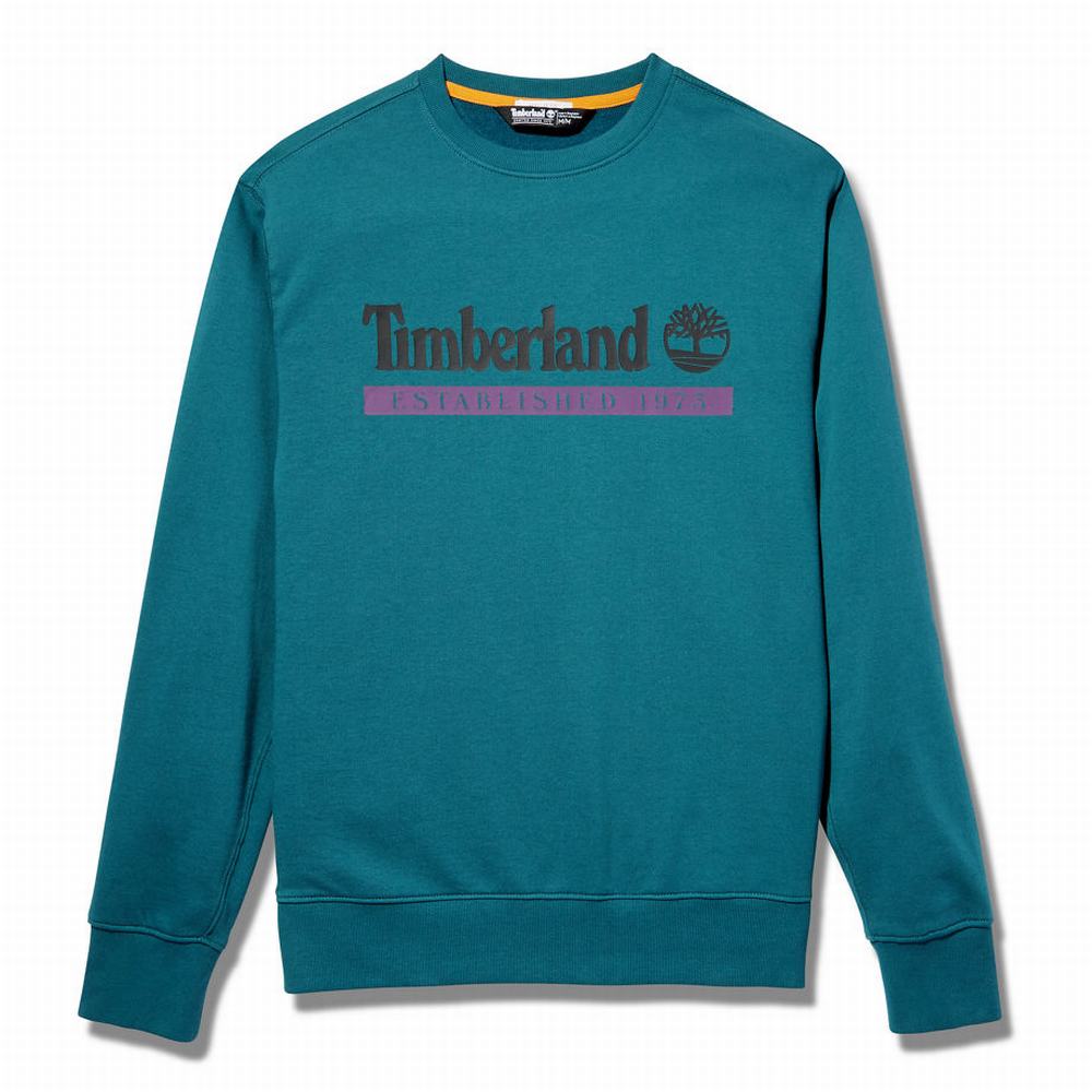 Timberland Established 1973 Crew Tişörtü Erkek Turkuaz | TR-4690Z