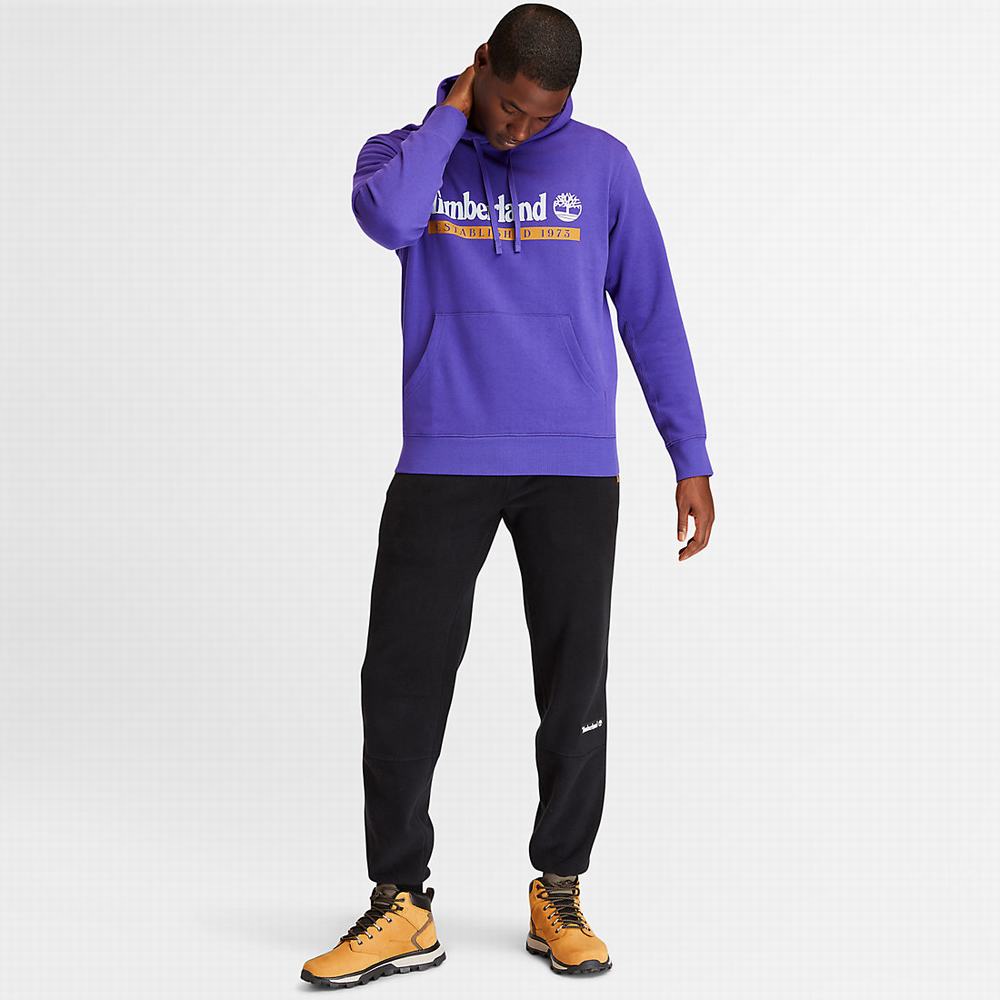 Timberland Established 1973 Kapüşonlu Sweatshirt Erkek Mor | TR-1526Y