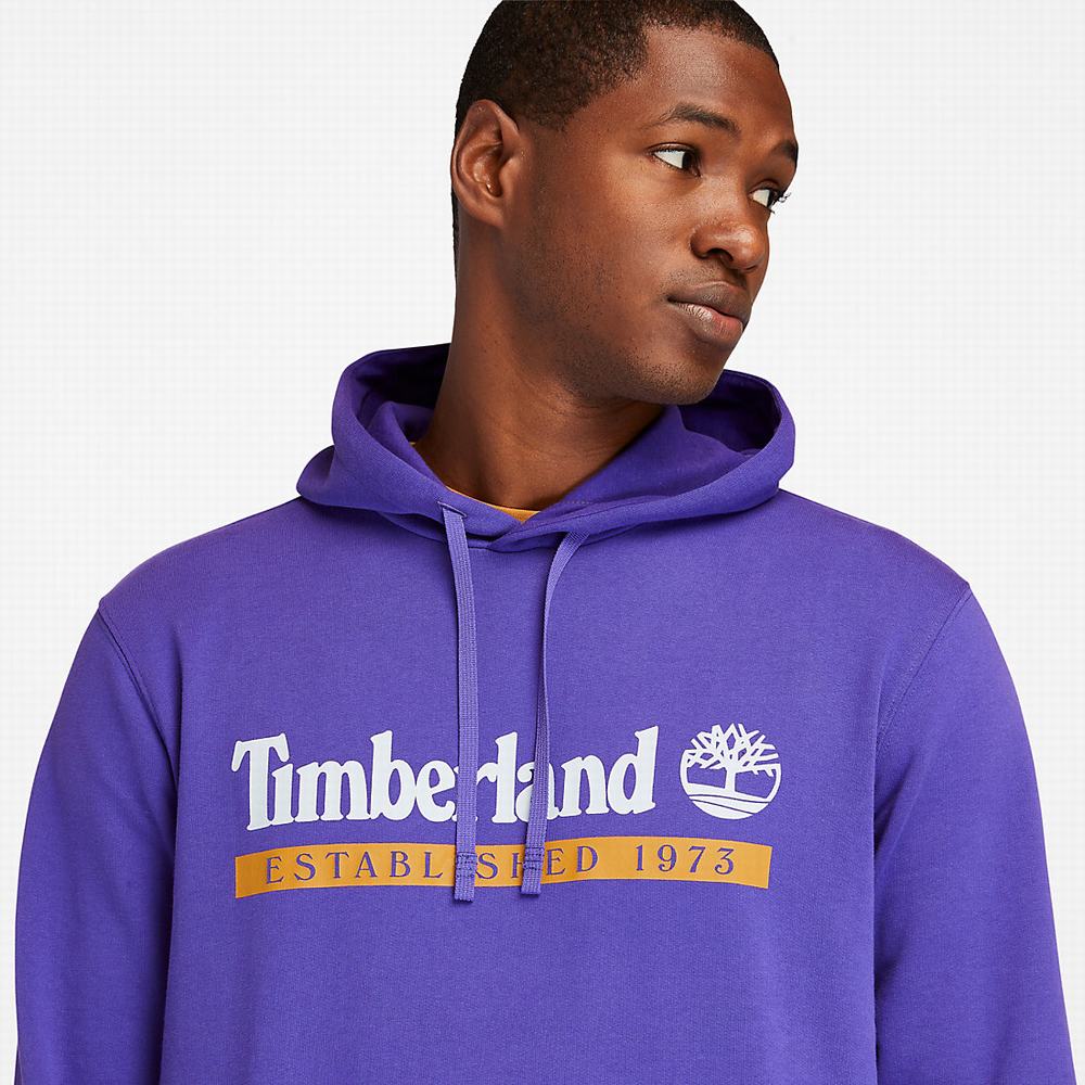 Timberland Established 1973 Kapüşonlu Sweatshirt Erkek Mor | TR-1526Y