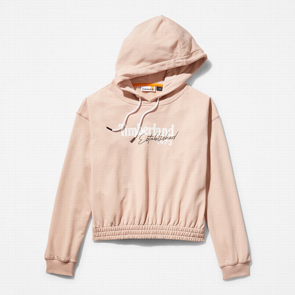 Timberland Established 1973 Logo Kapüşonlu Sweatshirt Kadın Pembe | TR-2014W