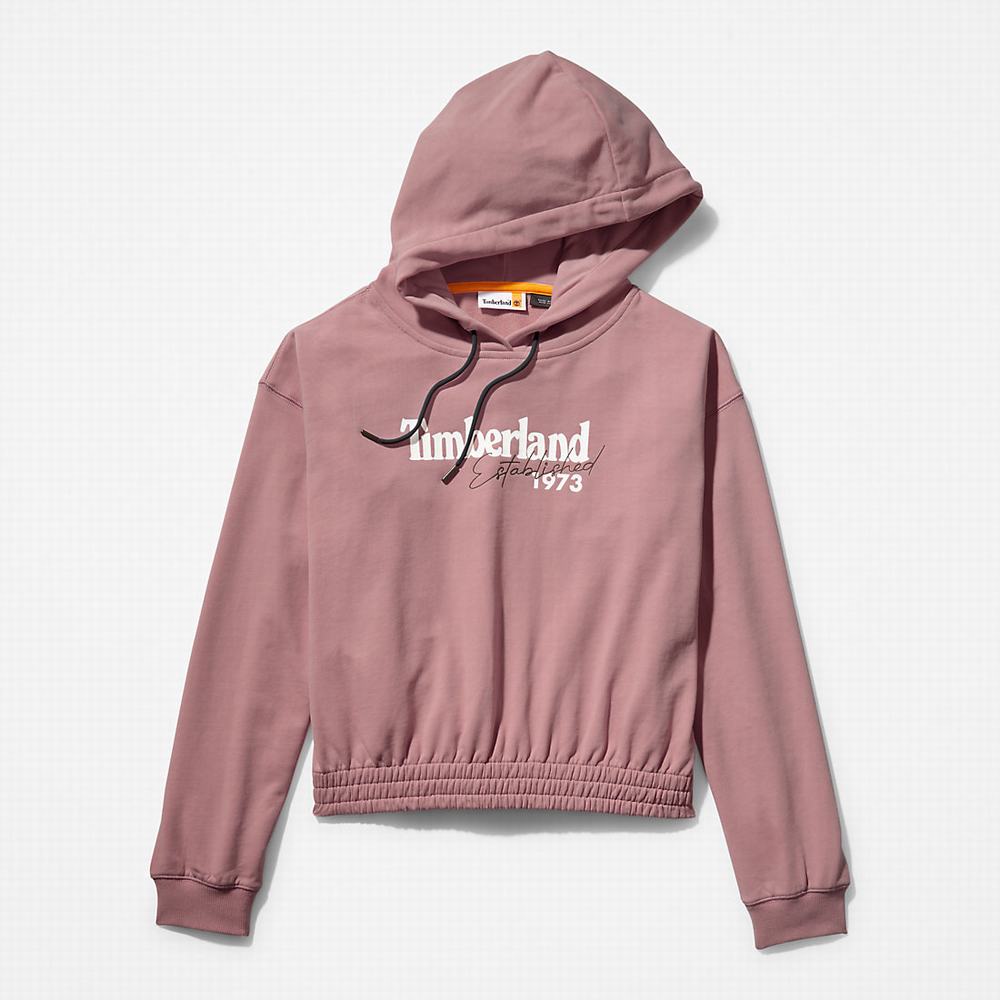 Timberland Established 1973 Logo Kapüşonlu Sweatshirt Kadın Pembe | TR-6593E