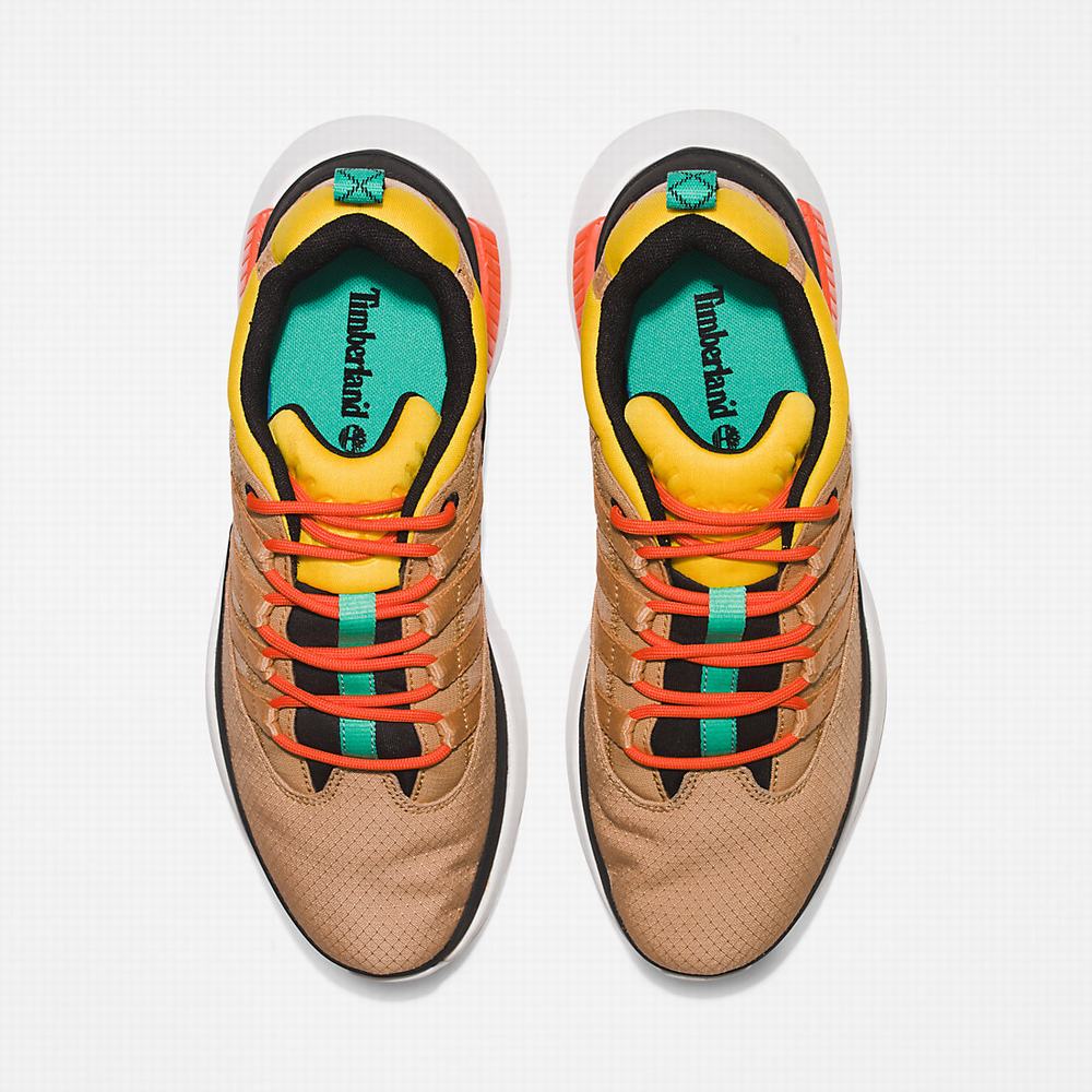 Timberland Euro Trekker Low Spor Ayakkabı Erkek Bej Rengi | TR-1726P