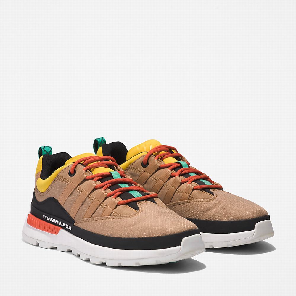 Timberland Euro Trekker Low Spor Ayakkabı Erkek Bej Rengi | TR-1726P