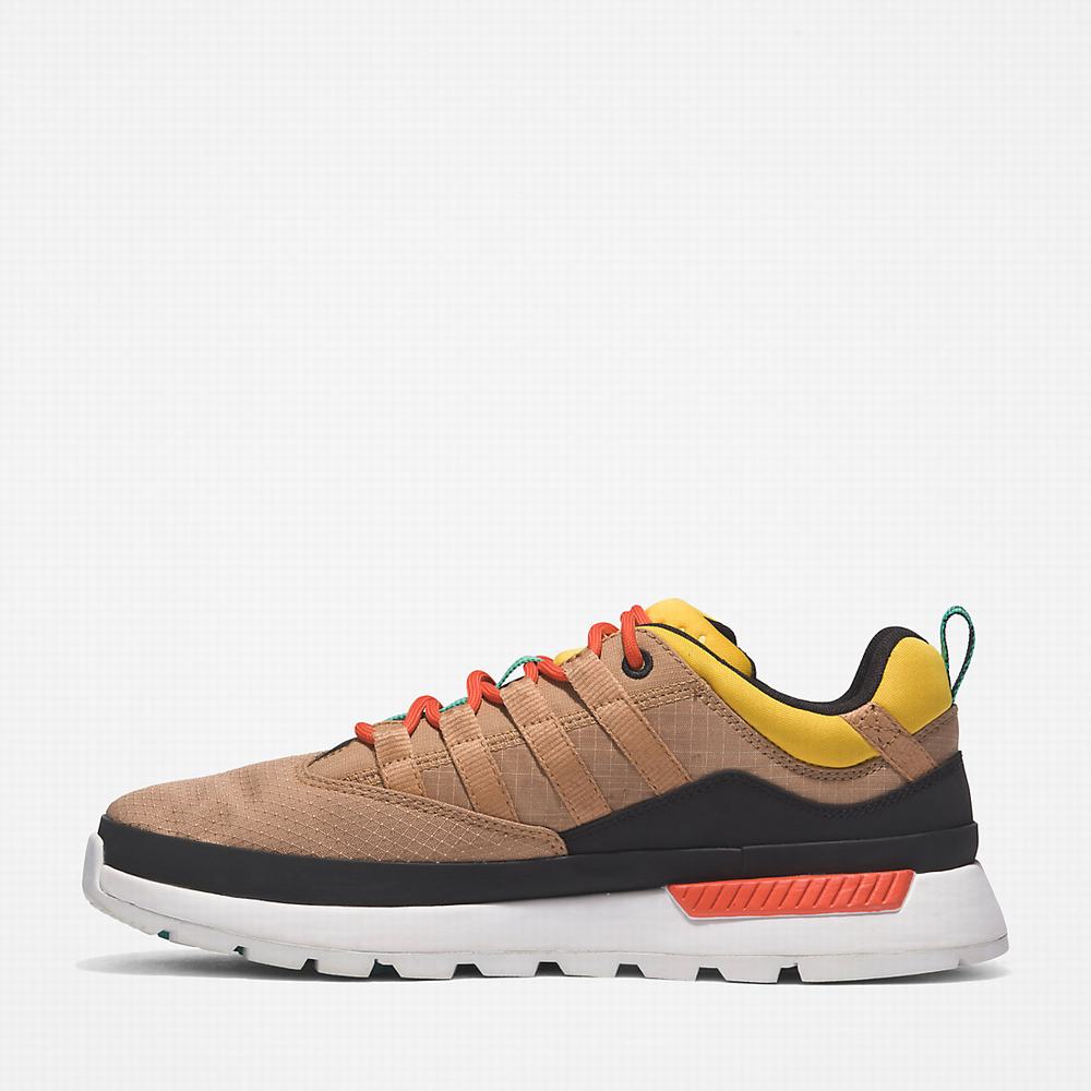 Timberland Euro Trekker Low Spor Ayakkabı Erkek Bej Rengi | TR-1726P