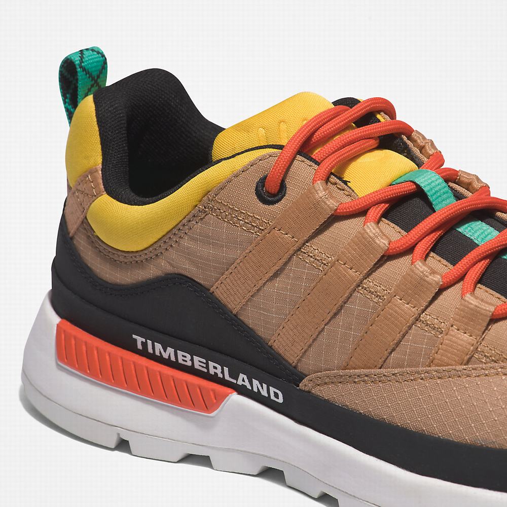 Timberland Euro Trekker Low Spor Ayakkabı Erkek Bej Rengi | TR-1726P