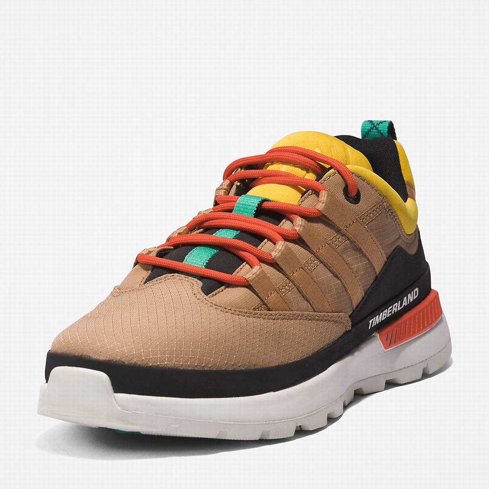 Timberland Euro Trekker Low Spor Ayakkabı Erkek Bej Rengi | TR-1726P