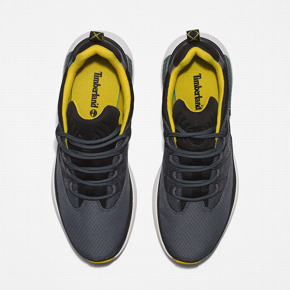 Timberland Euro Trekker Low Spor Ayakkabı Erkek Gri | TR-1980A
