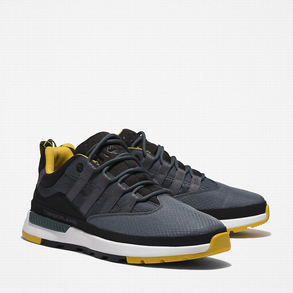 Timberland Euro Trekker Low Spor Ayakkabı Erkek Gri | TR-1980A