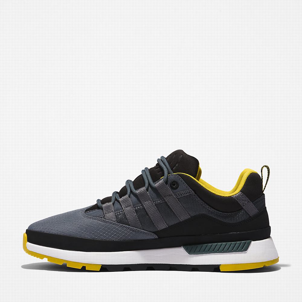 Timberland Euro Trekker Low Spor Ayakkabı Erkek Gri | TR-1980A