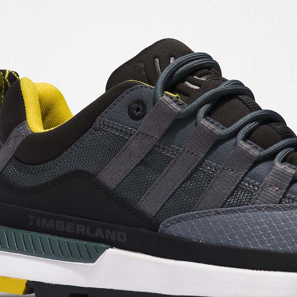 Timberland Euro Trekker Low Spor Ayakkabı Erkek Gri | TR-1980A