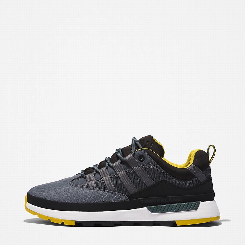 Timberland Euro Trekker Low Spor Ayakkabı Erkek Gri | TR-1980A