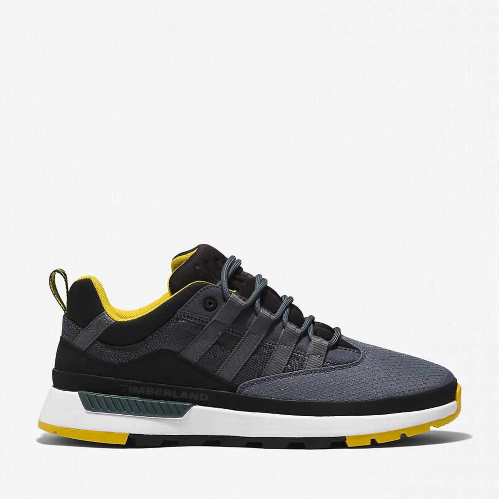 Timberland Euro Trekker Low Spor Ayakkabı Erkek Gri | TR-1980A