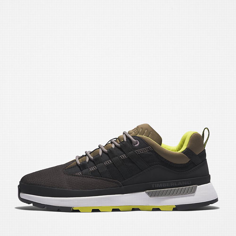 Timberland Euro Trekker Low Spor Ayakkabı Erkek Siyah | TR-5830U