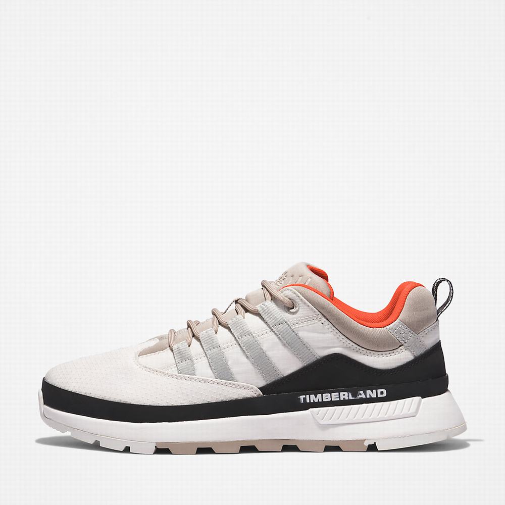 Timberland Euro Trekker Low Spor Ayakkabı Erkek Beyaz | TR-6594S