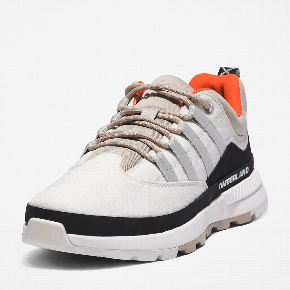 Timberland Euro Trekker Low Spor Ayakkabı Erkek Beyaz | TR-6594S