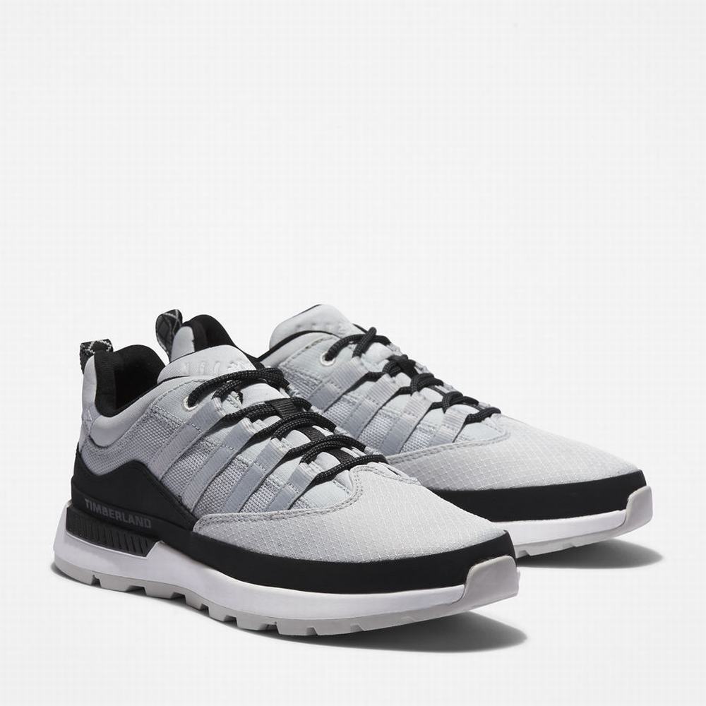 Timberland Euro Trekker Spor Ayakkabı Erkek Gri | TR-1032L