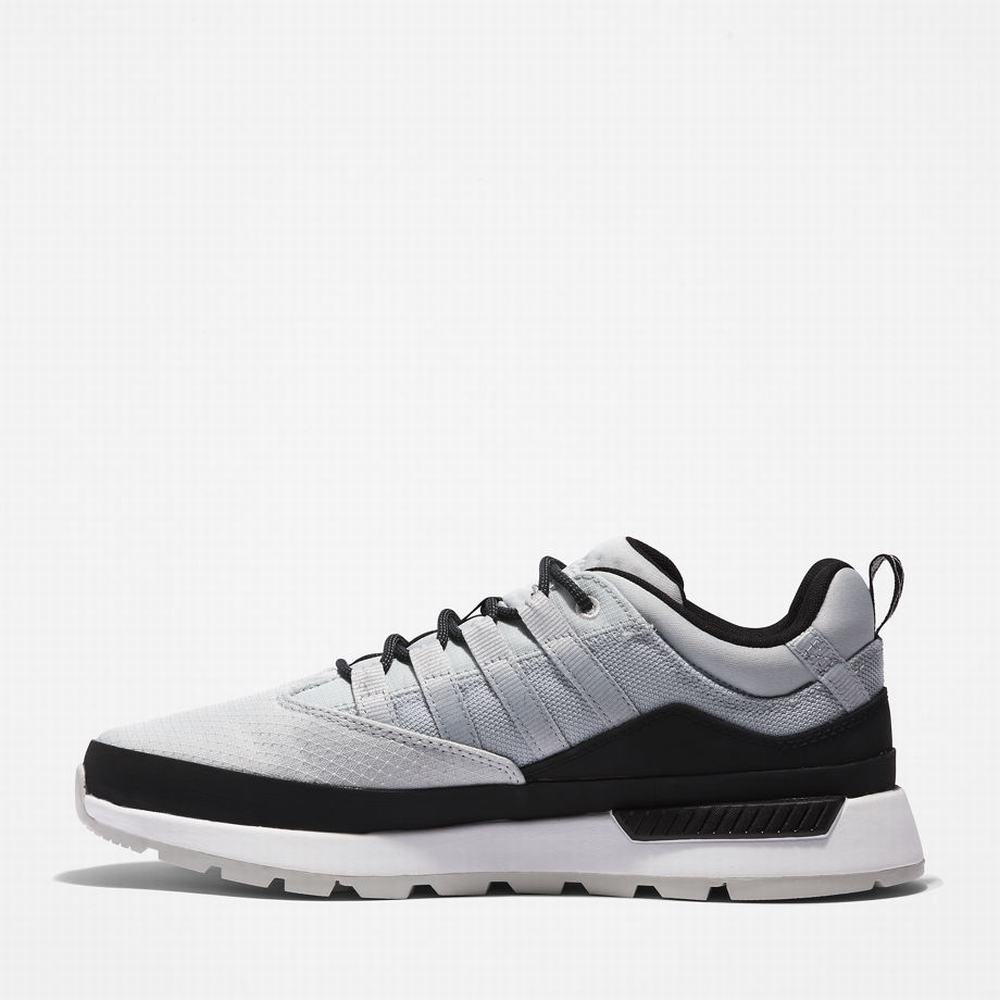 Timberland Euro Trekker Spor Ayakkabı Erkek Gri | TR-1032L