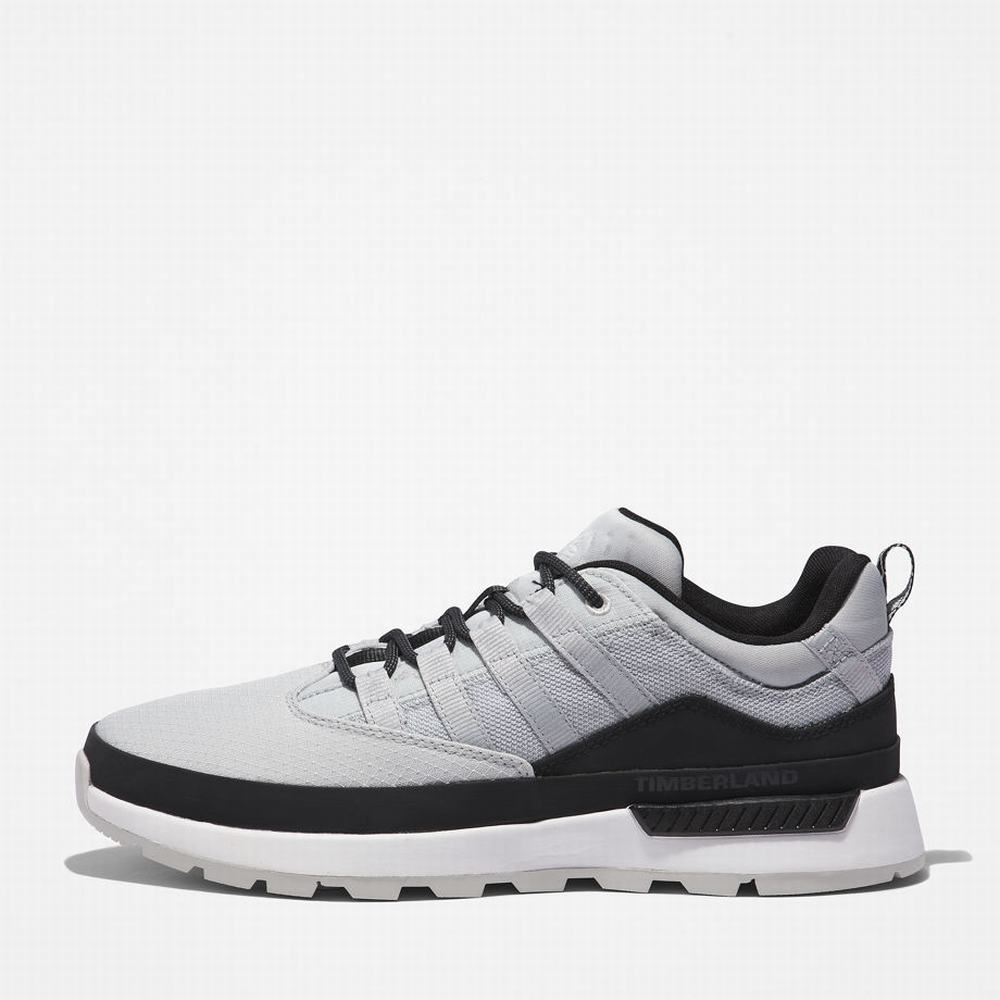 Timberland Euro Trekker Spor Ayakkabı Erkek Gri | TR-1032L