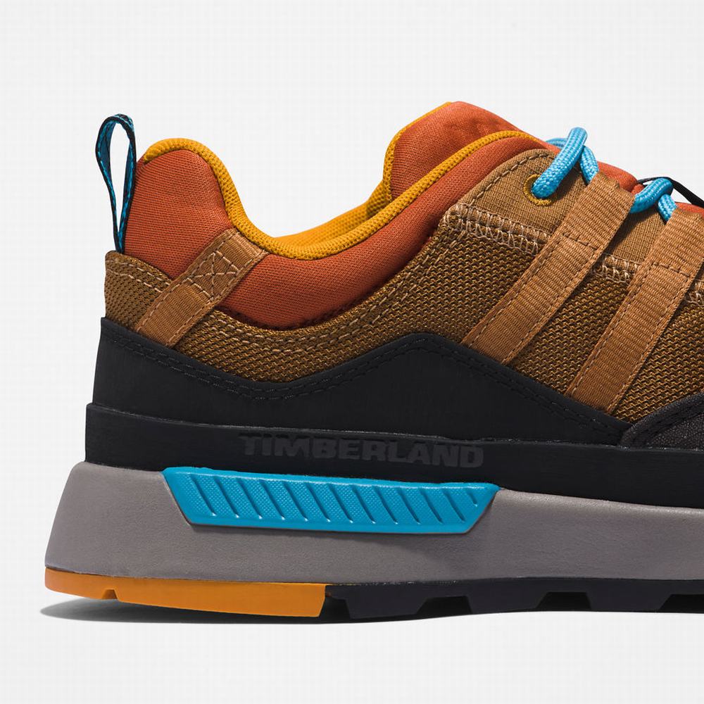 Timberland Euro Trekker Spor Ayakkabı Erkek Turuncu | TR-1863Z