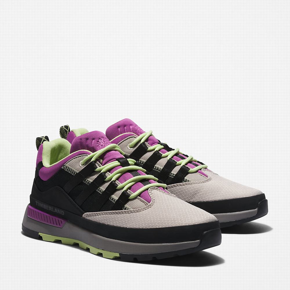 Timberland Euro Trekker Spor Ayakkabı Erkek Bej Rengi | TR-2073K