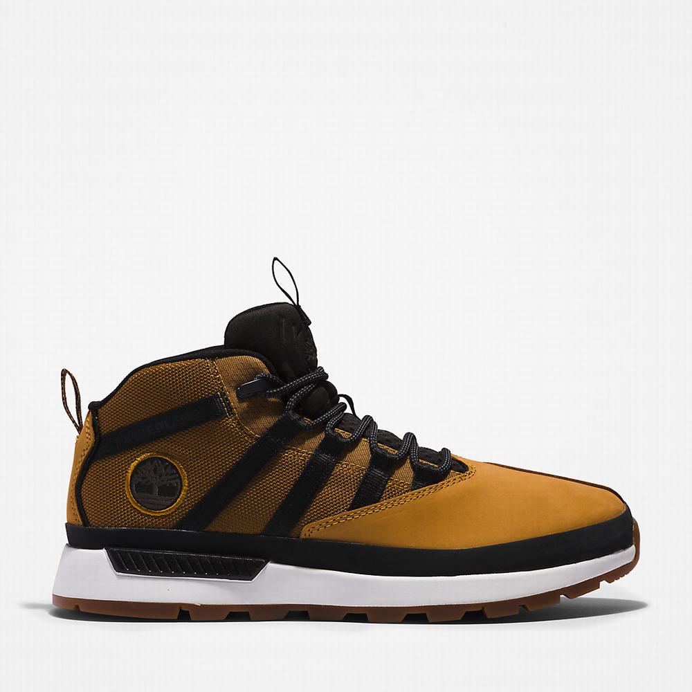 Timberland Euro Trekker Spor Ayakkabı Erkek Sarı | TR-3975K
