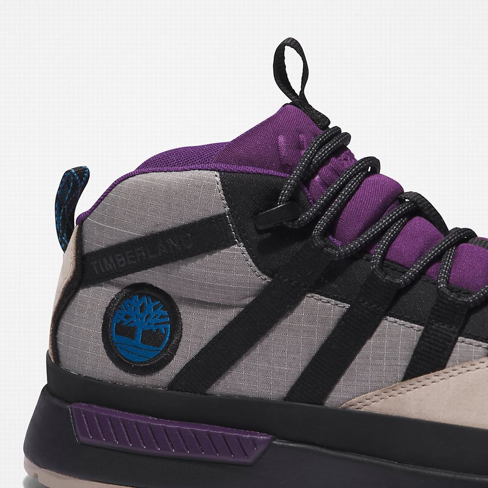 Timberland Euro Trekker Spor Ayakkabı Erkek Bej Rengi | TR-7086D
