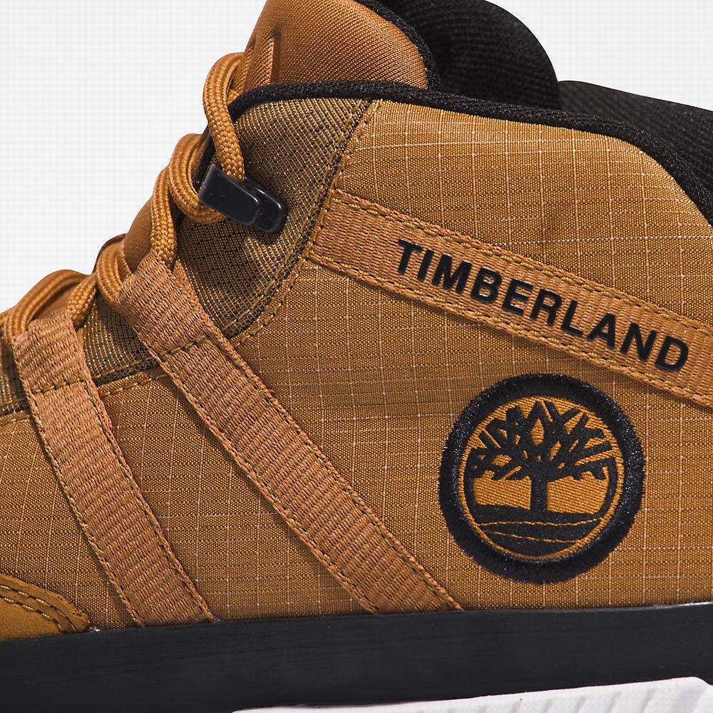 Timberland Euro Trekker Spor Ayakkabı Erkek Açık Kahverengi | TR-7295L
