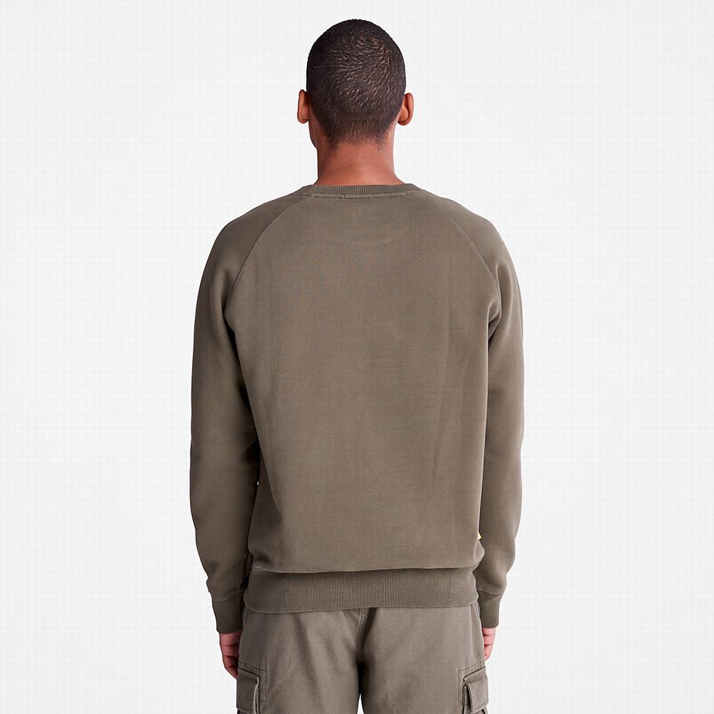 Timberland Exeter River Crewneck Tişörtü Erkek Koyu Yeşil | TR-5473Y