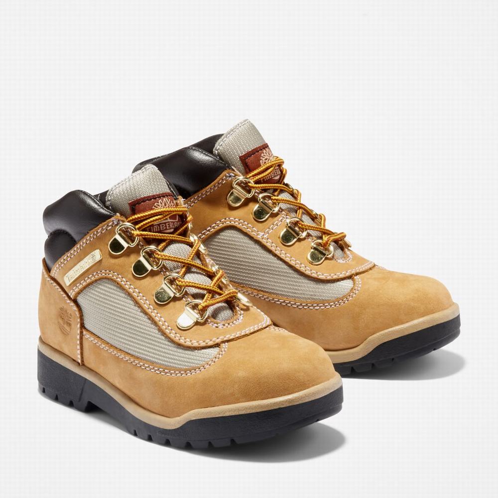 Timberland Field Bot Çocuk Kahverengi | TR-0539U