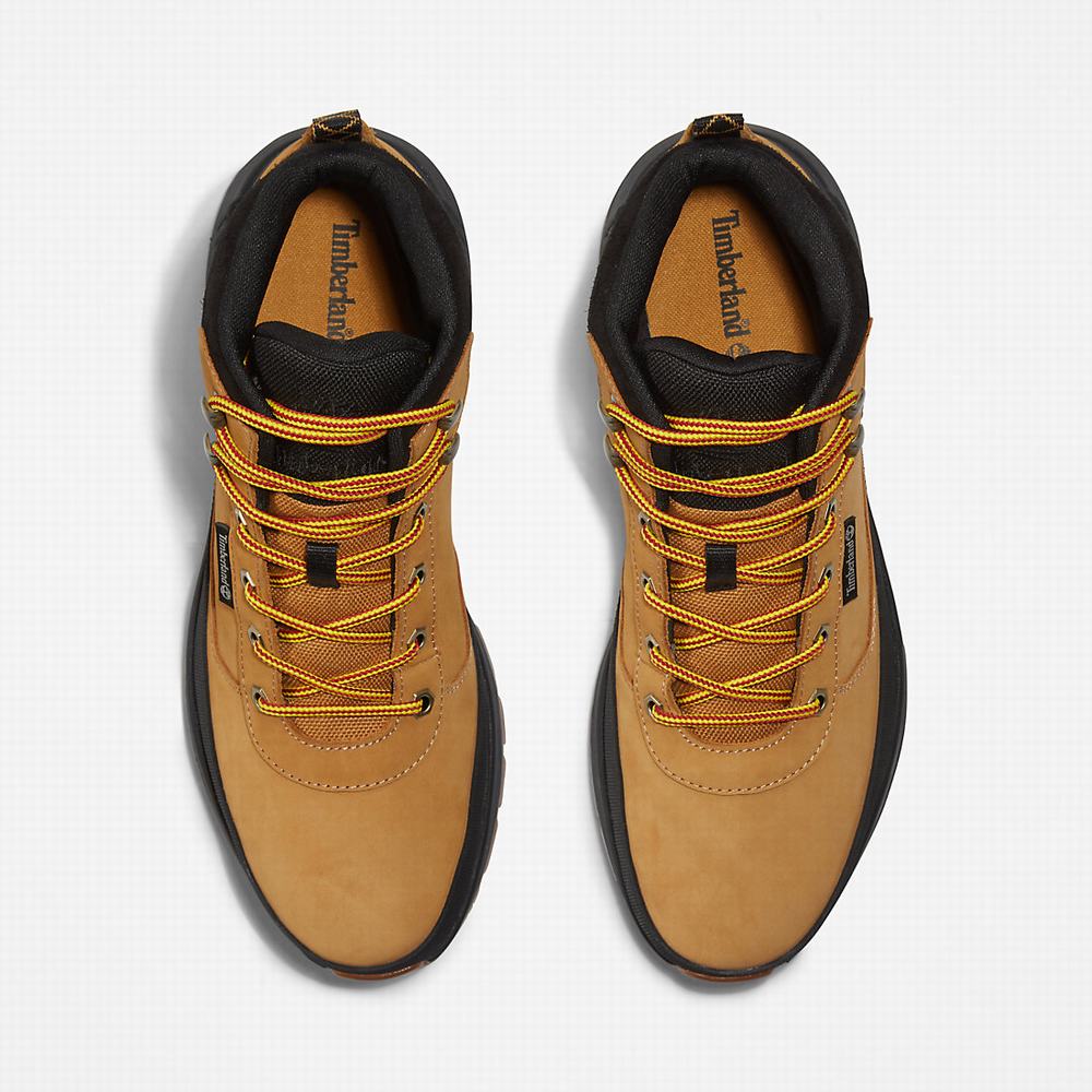 Timberland Field Trekker Chukka Bot Erkek Sarı | TR-3581U