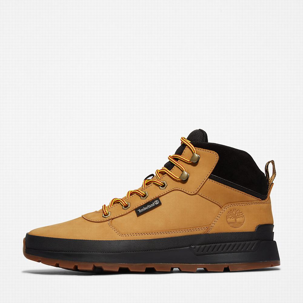 Timberland Field Trekker Chukka Bot Erkek Sarı | TR-3581U