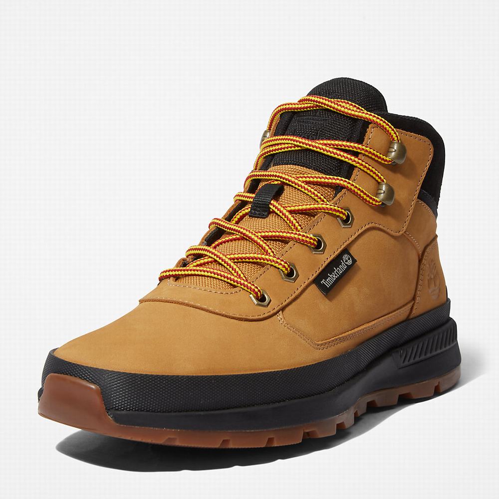 Timberland Field Trekker Chukka Bot Erkek Sarı | TR-3581U