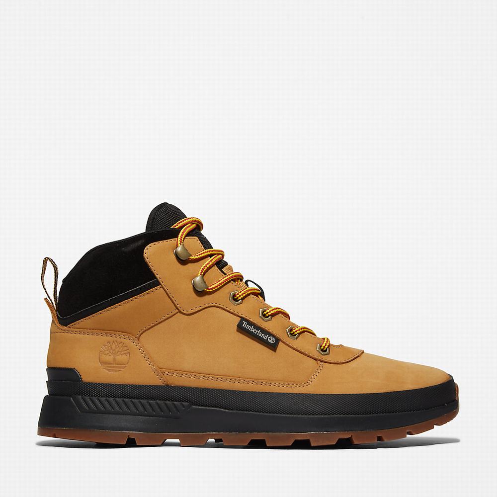 Timberland Field Trekker Chukka Bot Erkek Sarı | TR-3581U