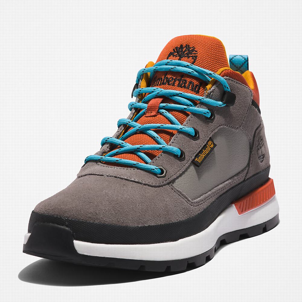 Timberland Field Trekker Hiker Yürüyüş Botu Erkek Koyu Gri | TR-0385B