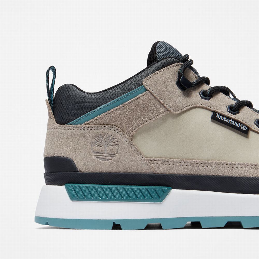 Timberland Field Trekker Hiker Yürüyüş Botu Erkek Bej Rengi | TR-5749C