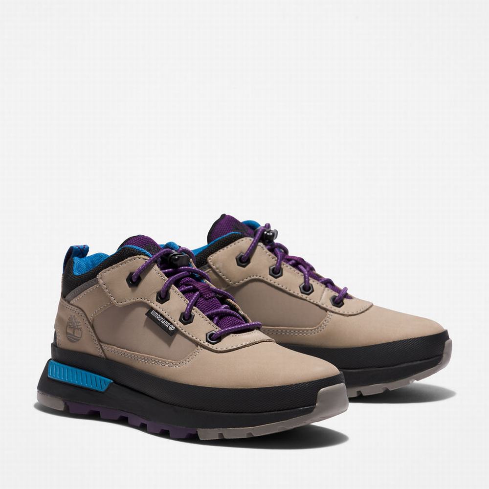 Timberland Field Trekker Leather Spor Ayakkabı Çocuk Gri | TR-9721F