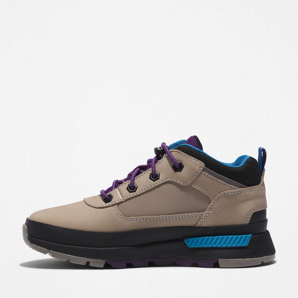 Timberland Field Trekker Leather Spor Ayakkabı Çocuk Gri | TR-9721F
