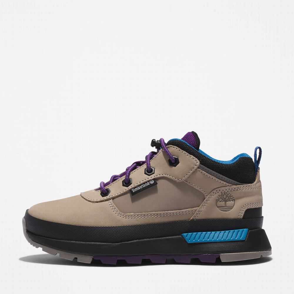Timberland Field Trekker Leather Spor Ayakkabı Çocuk Gri | TR-9721F