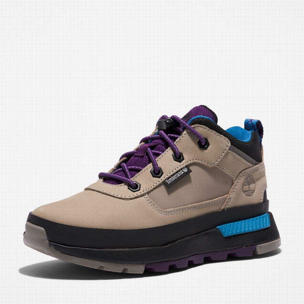 Timberland Field Trekker Leather Spor Ayakkabı Çocuk Gri | TR-9721F