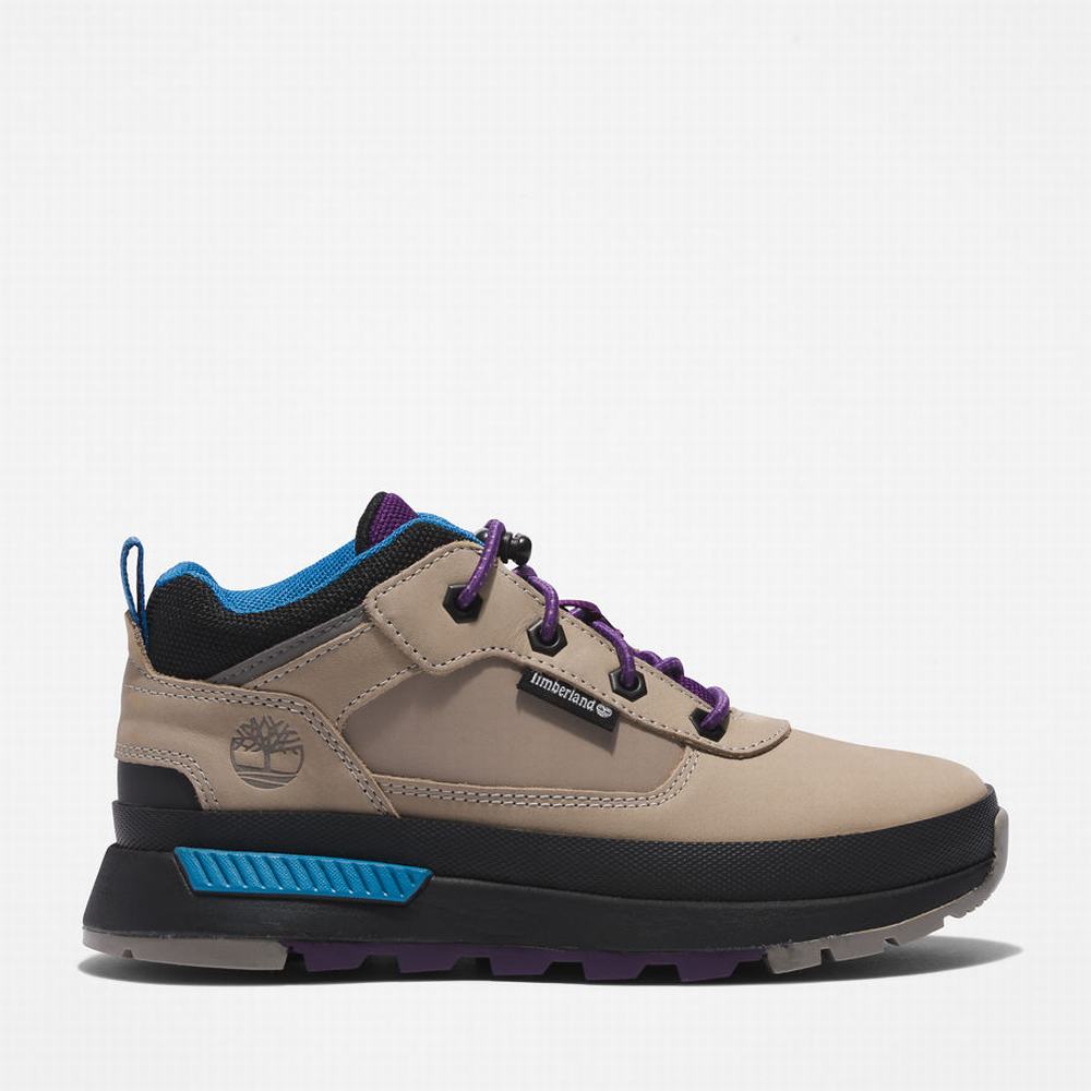 Timberland Field Trekker Leather Spor Ayakkabı Çocuk Gri | TR-9721F