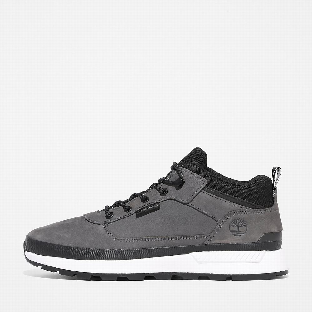 Timberland Field Trekker Low Hiker Yürüyüş Botu Erkek Gri | TR-7105E