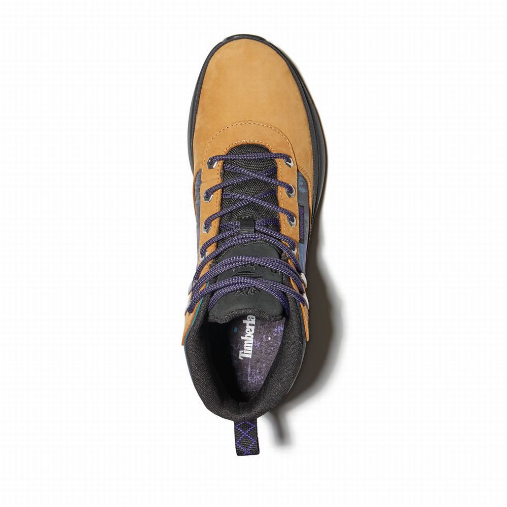 Timberland Field Trekker Nl Sky Chukka Yürüyüş Botu Erkek Sarı | TR-9528B