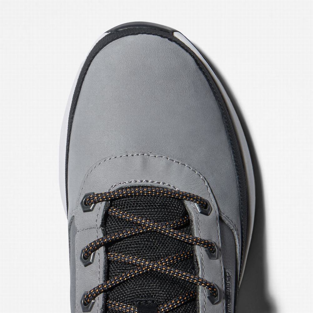 Timberland Field Trekker Spor Ayakkabı Erkek Gri | TR-1064E