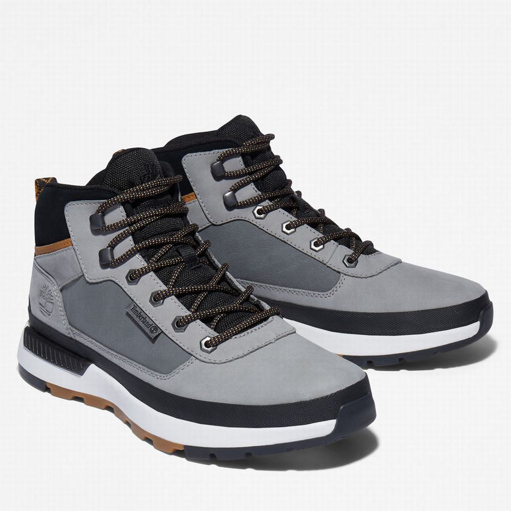Timberland Field Trekker Spor Ayakkabı Erkek Gri | TR-1064E