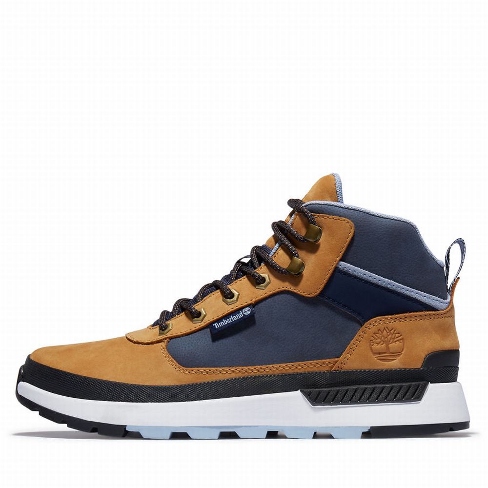 Timberland Field Trekker Spor Ayakkabı Erkek Kahverengi | TR-8495R