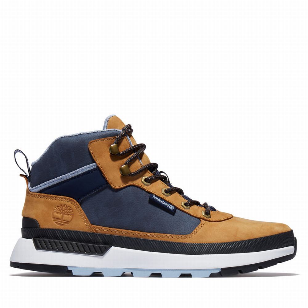 Timberland Field Trekker Spor Ayakkabı Erkek Kahverengi | TR-8495R