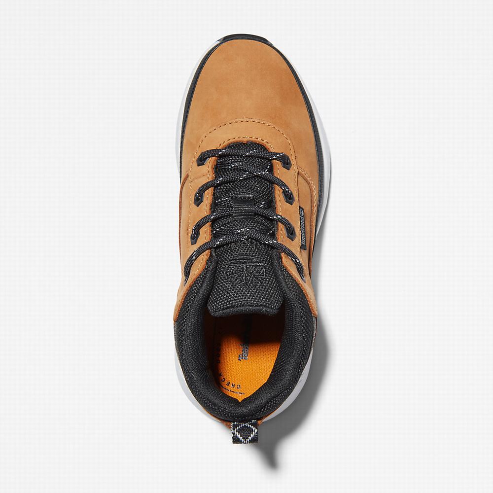 Timberland Field Trekker Spor Ayakkabı Çocuk Sarı | TR-7294S