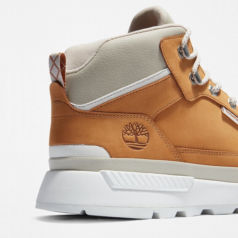 Timberland Field Trekker Yürüyüş Botu Erkek Açık Kahverengi | TR-5962Q